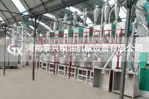 枣阳石磨制粉生产线成套机械设备口碑好的生产销售厂家